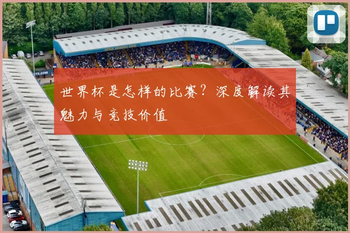 世界杯是怎样的比赛？深度解读其魅力与竞技价值
