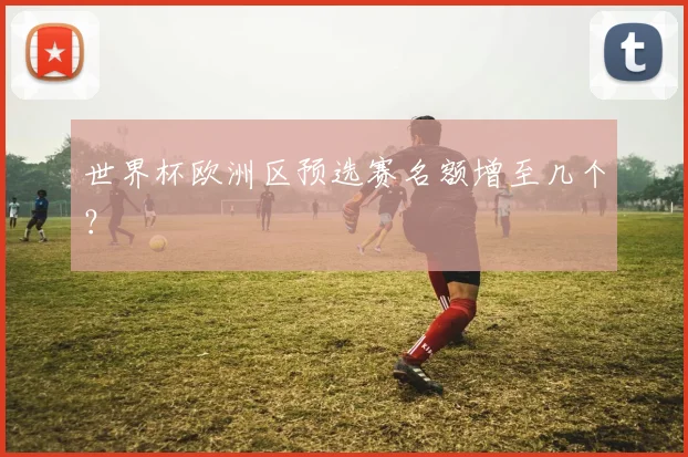 世界杯欧洲区预选赛名额增至几个?