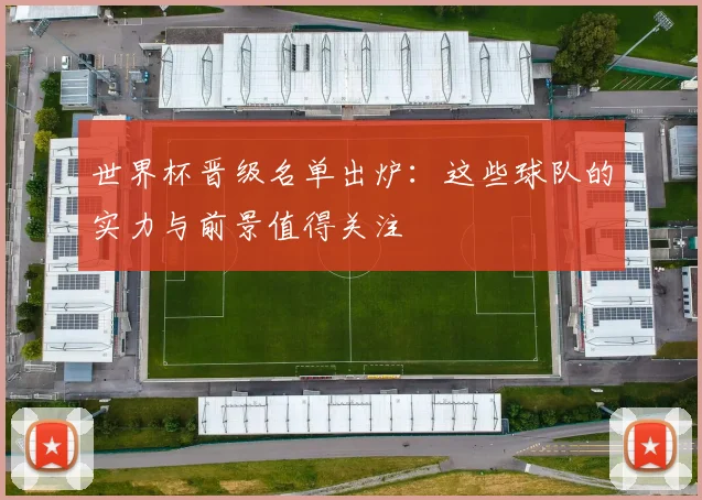 世界杯晋级名单出炉：这些球队的实力与前景值得关注