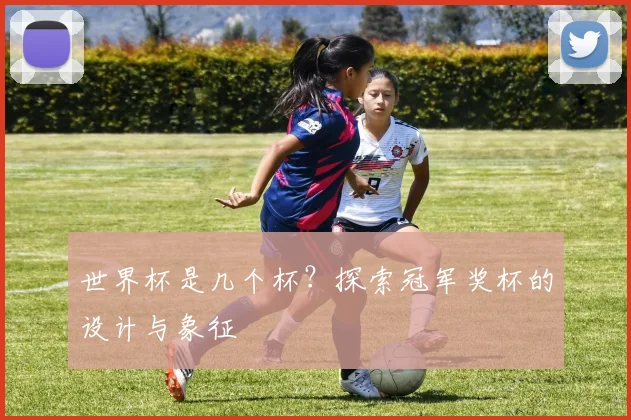 世界杯是几个杯？探索冠军奖杯的设计与象征