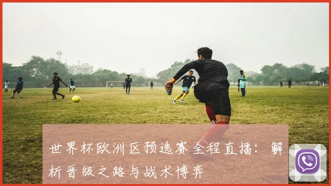 世界杯欧洲区预选赛全程直播:解析晋级之路与战术博弈