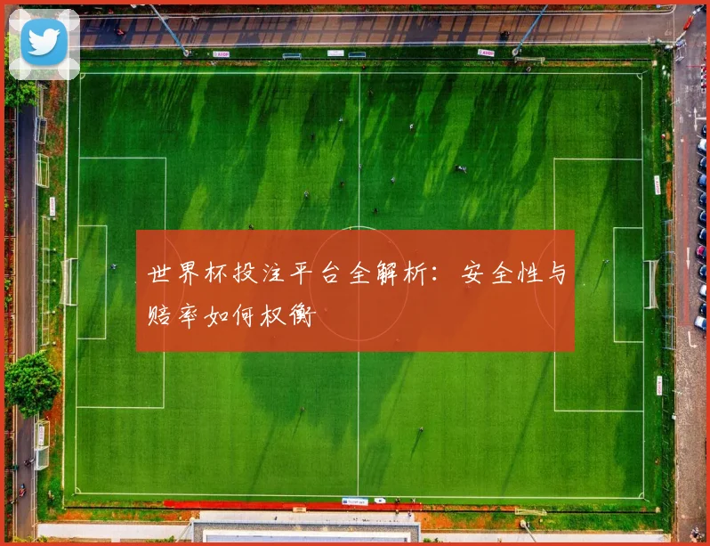 世界杯投注平台全解析：安全性与赔率如何权衡