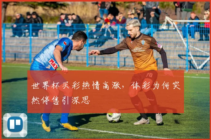 世界杯买彩热情高涨，体彩为何突然停售引深思