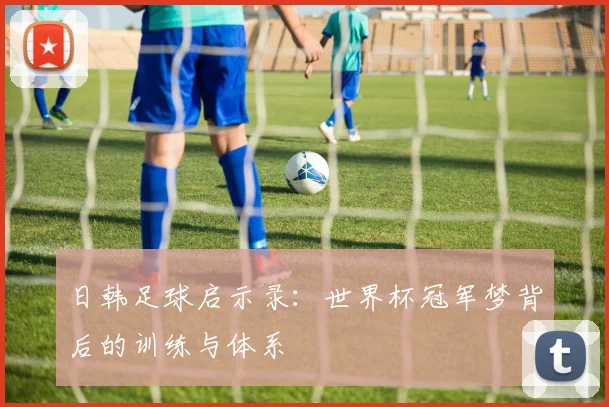 日韩足球启示录：世界杯冠军梦背后的训练与体系